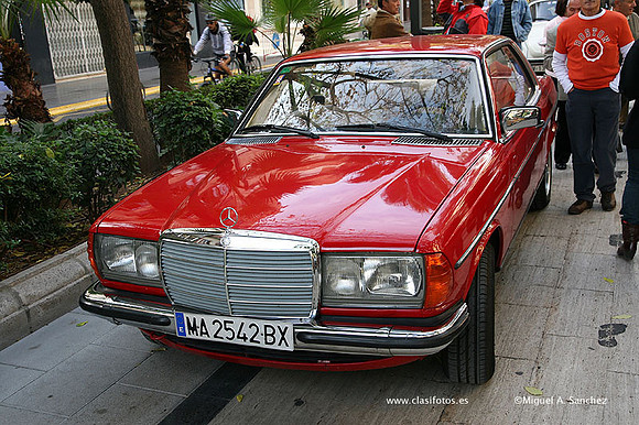 Torrent2009131