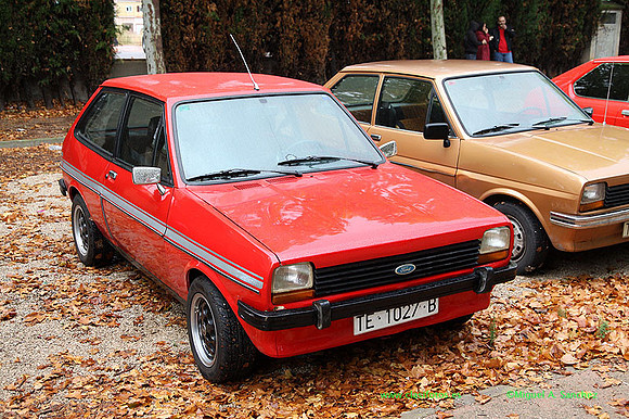 VIIIConcentracionUtiel052