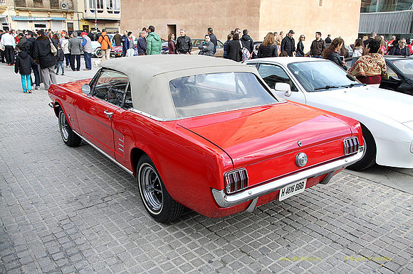 XConcentracionTorrente262