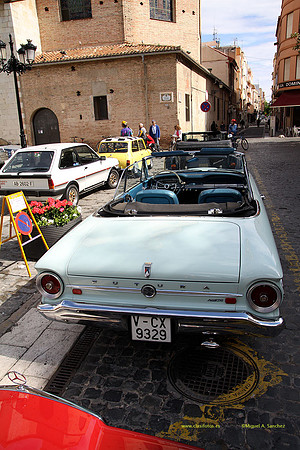 VIIConcGandia024