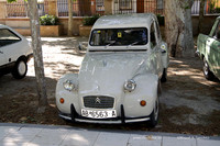 VIIConcentracionUtiel002