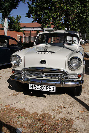 VIIConcentracionUtiel059