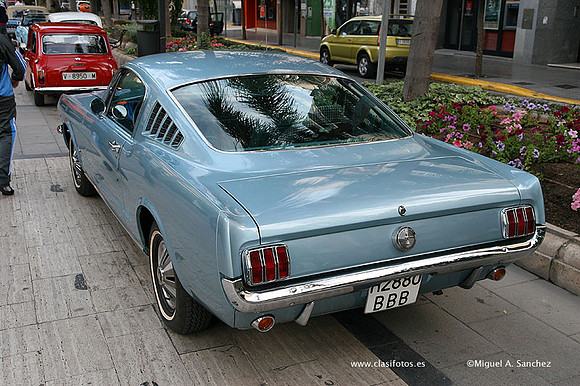 Torrent2009088