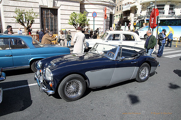 XLVIRonda Fallera087