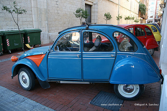 FiraBenissa2010151