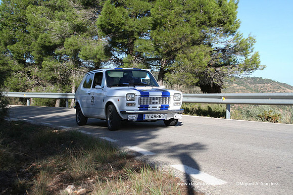 RallyTuris311