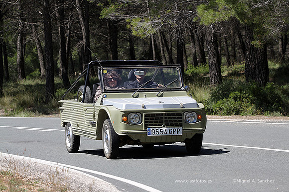VIIConcentracionUtiel258