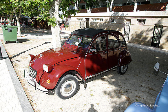 VIIConcentracionUtiel094