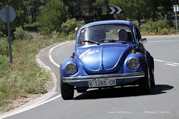 VIIConcentracionUtiel403