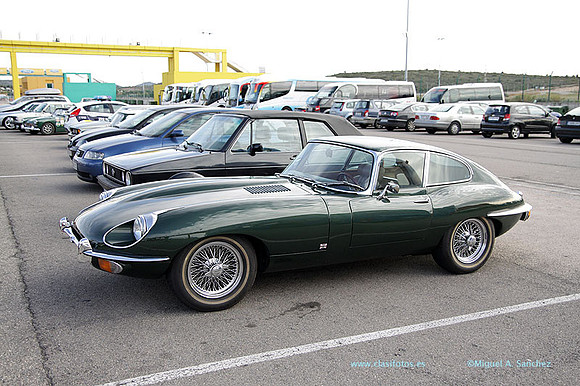 8JornadasEducacionEspecial174