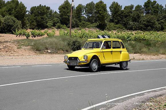VIIConcentracionUtiel554