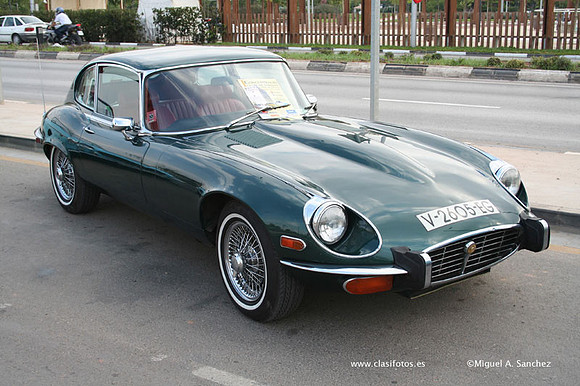 ClasicosTorrent036