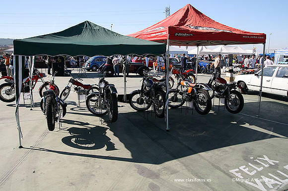 FVCP2009039