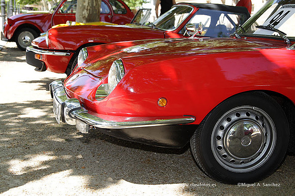 VIIConcentracionUtiel207