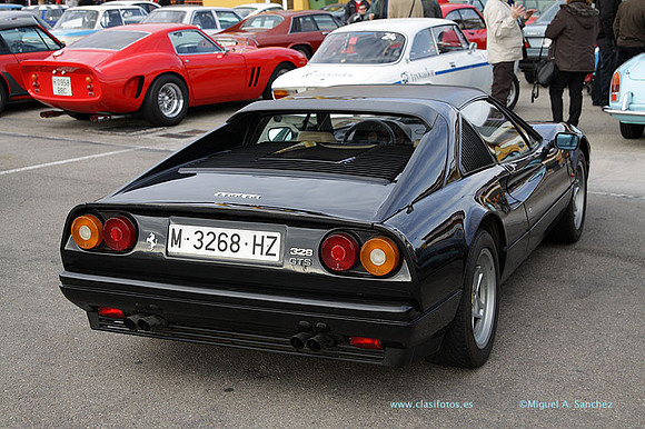 8JornadasEducacionEspecial164