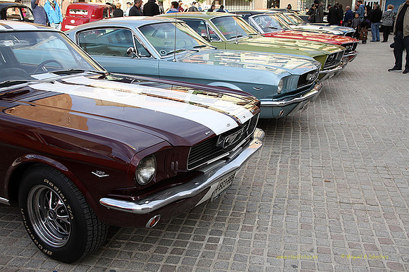 XConcentracionTorrente165