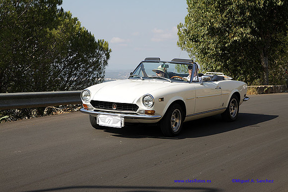 IVConcAlzira162