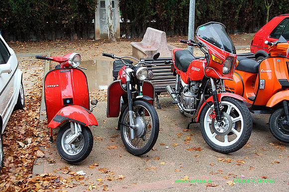 VIIIConcentracionUtiel039