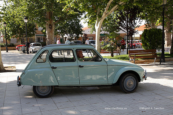 VIIConcentracionUtiel056