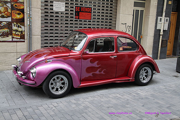 IVConcFiestasGandia153