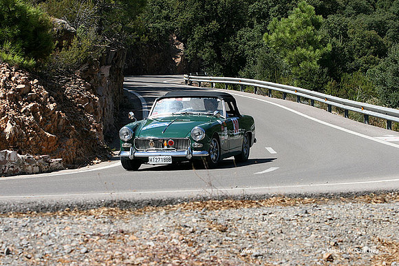 IRallyCaudiel684
