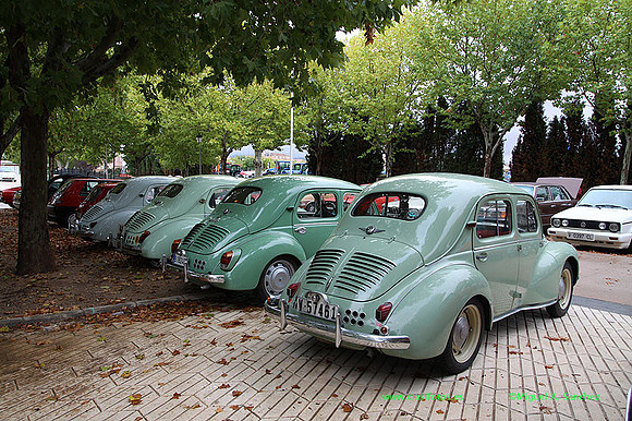 VIIIConcentracionUtiel077