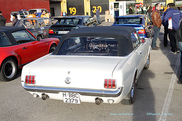 8JornadasEducacionEspecial002