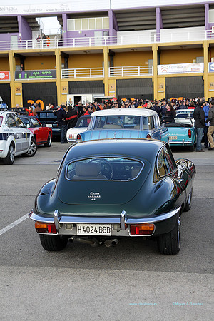 8JornadasEducacionEspecial176