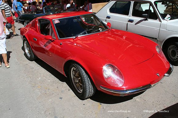 Chiva061