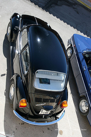 CasesdeAlcanar09124