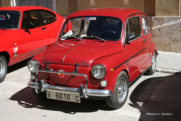 Chiva053