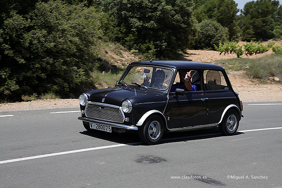 VIIConcentracionUtiel559