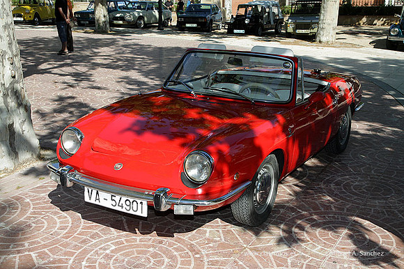 VIIConcentracionUtiel107