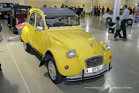 AnticAuto2010248
