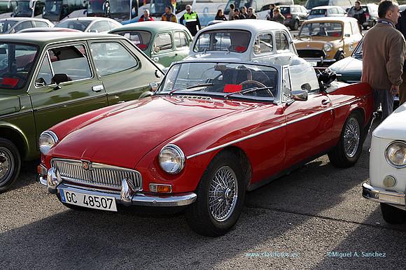 8JornadasEducacionEspecial135