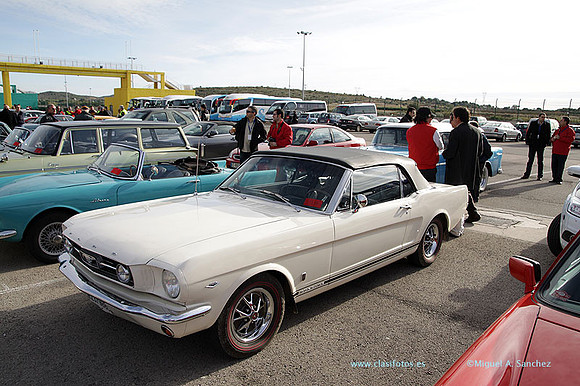 8JornadasEducacionEspecial149