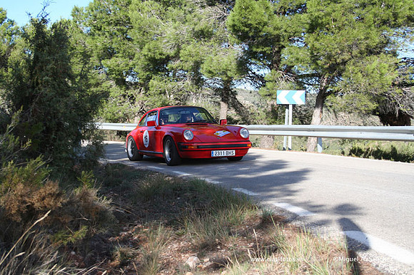 RallyTuris295