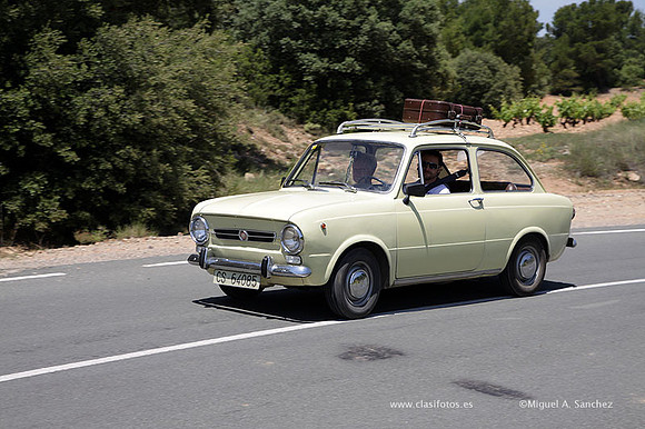 VIIConcentracionUtiel493