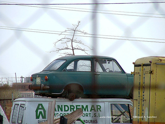 DSCF0208
