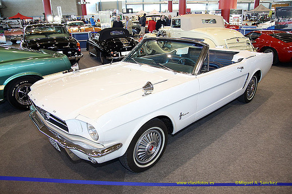 AnticAuto_2013135