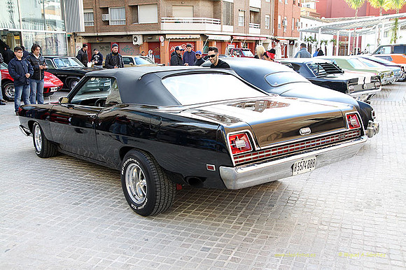 XConcentracionTorrente117