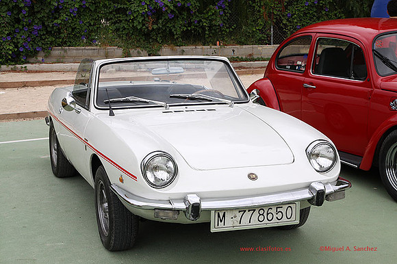 ConcentracionAlborache013