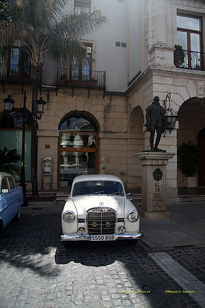VIIConcGandia125