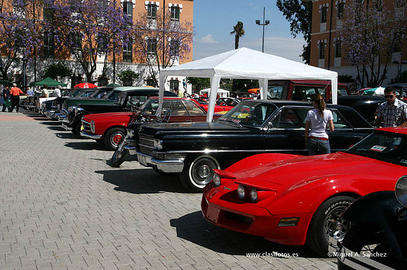 VIAutoRetroMurcia094