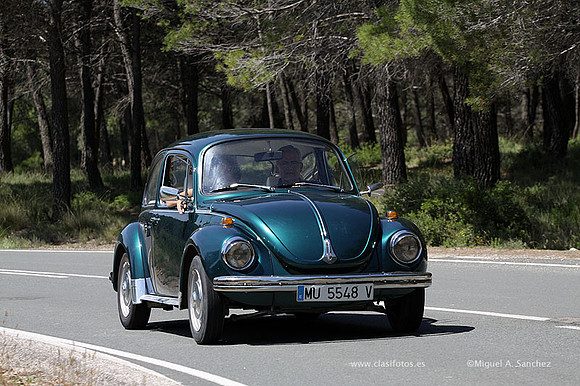 VIIConcentracionUtiel257