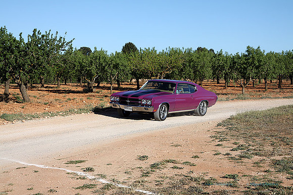 IIIEncuentroAmigosDelMotor084