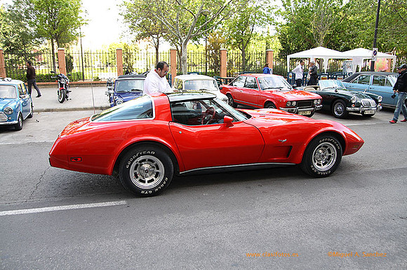 ConcentracionOrriols2013_127