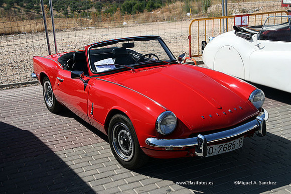 FVCP2009281