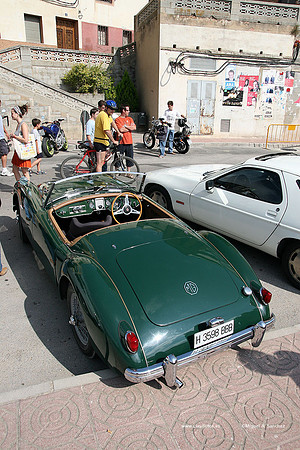 ConcentracionBocairent09173