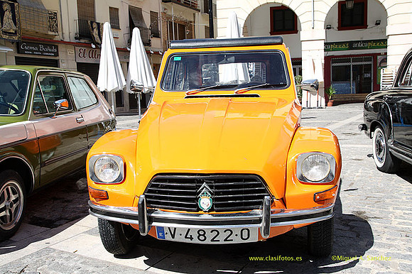 VIIConcGandia095